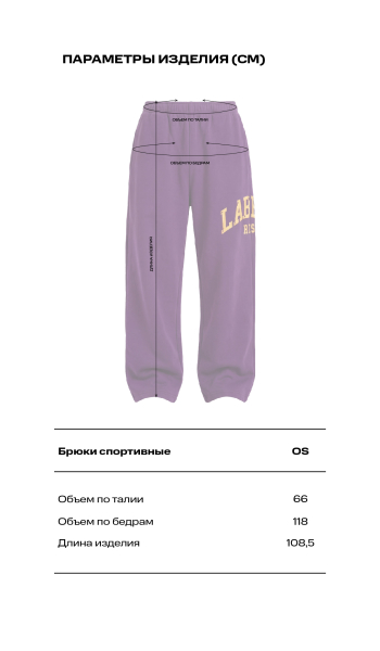 Брюки спортивные